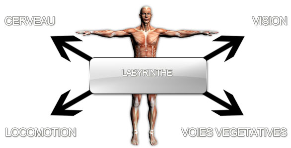 Overall Schematics