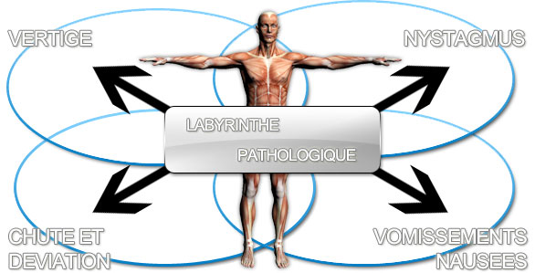 Pathology Schematics